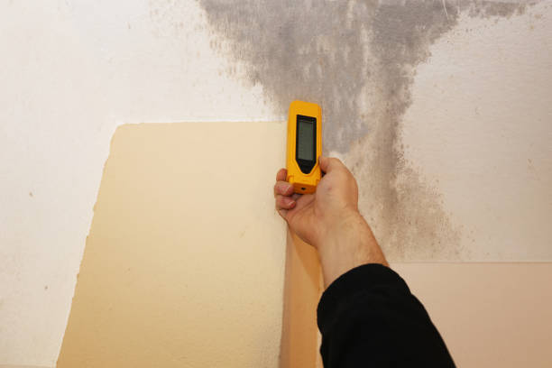 Best Post-Construction Mold Inspection  in Cedar Hills, UT