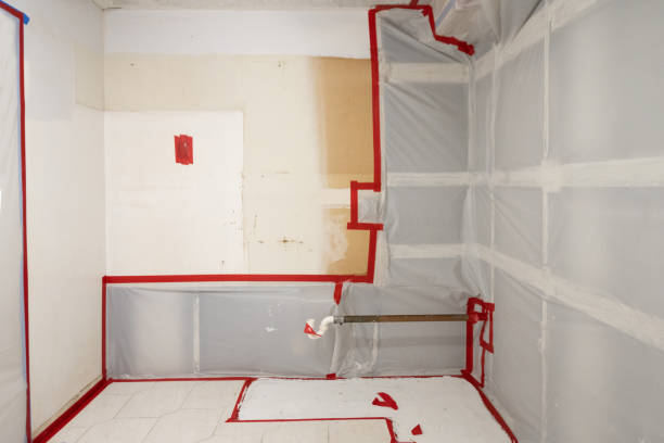 Best Commercial Mold Inspection  in Cedar Hills, UT