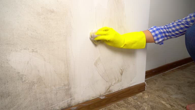 Best Mold Removal for HVAC Installations  in Cedar Hills, UT