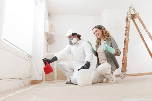 Best Mold Prevention Services  in Cedar Hills, UT